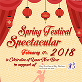 show,newyear,springfetival