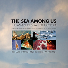 sea among us, book, strait of georgia, georgia strait, birds, fish, salmon, pacific salmon foundation
