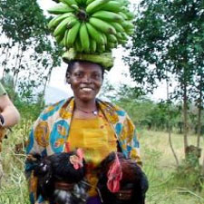 Fair Trade, Craft Fair, Ethical Gifts, Christmas