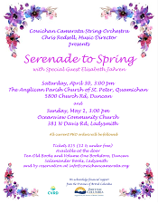 Music, String Orchestra, Concert, Violin, Viola, Cello, Bass