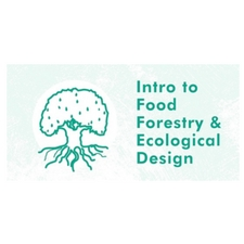 food, forestry, gardening, green, workshop, plants