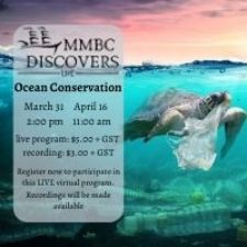 virtual, educational, ocean, museum