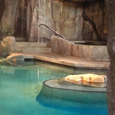Spa,Relax,EndlessTapas,Self-Care,WomensWorkshop