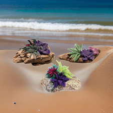 Felting, succulent, driftwood, wall art, Arts, Crafts, Workshop, Lost Arts Club, Nanaimo, kids