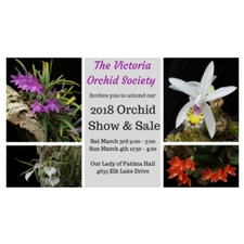 orchids, flowers, gardening, indoor garden, garden, houseplants