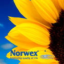 home based business, work at home moms, green cleaning, environment
