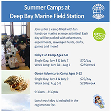 Fishy Fun Camp, Deep Bay Marine Field Station, Day Camp, Summer Camp, Summer, Ocean, Education