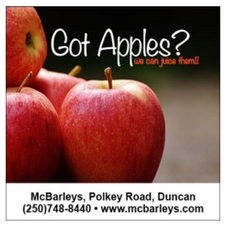 Fruit, Apples, Fall