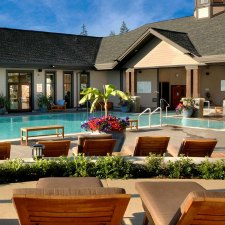 pool, resort, poolside