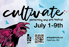 festival, music, theatre, dance, storytelling, food, art, installations