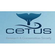Conservation, Research, Cetus, Orca, Pacific, Killer Whales, Education