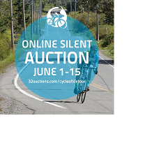 Silent Auction, Fundraiser, Hospice 