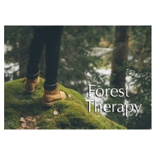 Forest, Therapy, Stress reduction, Healing