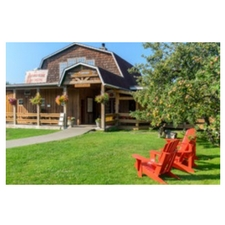 brunch, cider, cidery, craft cider