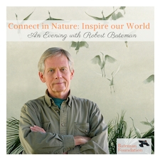 Robert Bateman, Art, Nature, Birds, Gallery, Plumage, Conservation, History, Photography, Canap�s, Cocktails, Inner Harbour, Canadian culture, Artist, Naturalist