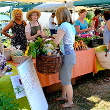 Farmers' market, Flavour Trail, North Saanich