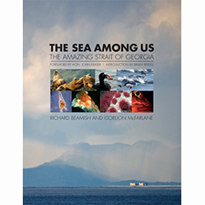 sea among us, book, strait of georgia, georgia strait, birds, fish, salmon