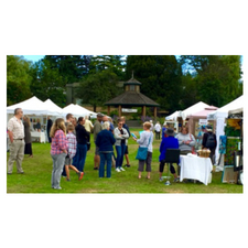 Public attending the Originals Only Fine Art Show in Comox at Marina Park