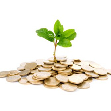 ethical investing, finance, investing, money, green money, retirement,