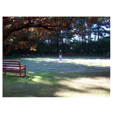 Bethlehem Centre,Labyrinth Pilgrimage