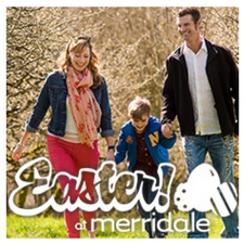 easter, merridale, hunt, brunch, baking, cider, spirits