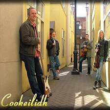 cookeilidh, celtic band, celtic, celtic music, victoria celtic band, victoria bc, irish music, scottish music, 12 string guitar, fiddle, irish flute
