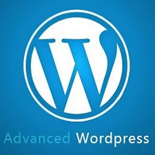 WordPress, computer course, website building