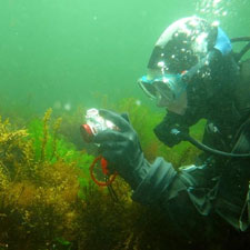 water, underwater, dive, scuba, scubadive, picture, camera