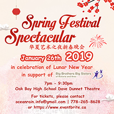 Chinese New Year, non-profit, dance, choir, violin,