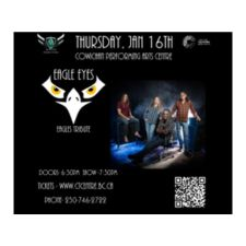 eagles tribute, Don Henley,Hotel California, Joe Walsh, Eagle Eyes, Mur-Man Productions
