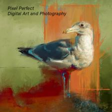 Art, digital art, photography