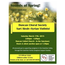 music, violin, concert, fundraiser