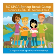 kids, fun, camp, animals, cats, dogs, rabbits, crafts, workshop, games, spring, break