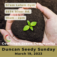 seeds, garden, community, kids activities