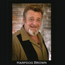 blues, roots, music, live music, events, harp, event