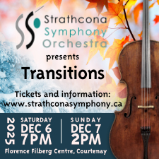 classical music, live music, orchestra, symphony, strings, Christmas