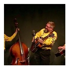 pearl snap, bluegrass, 