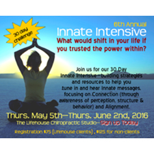 health, healing, wellness, chiropractic, nsa, sri, empowerment, innate, intensive, inner wisdom, intuition, intelligence