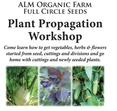 garden, farm, workshop, ALM, seed, learn, organic, 