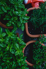 Garden, Gardening