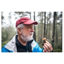 Andy MacKinnon, Little Brown Mushroom, LBM, fungi, biodiversity, bioblitz, mushroom, mycology, Wildwood, ecoforestry, ecoforest, ecoforestry institute society, bioblitz, biology, biologist, nature, environment, old growth, forest, ecology, forest ecology, lecture, 